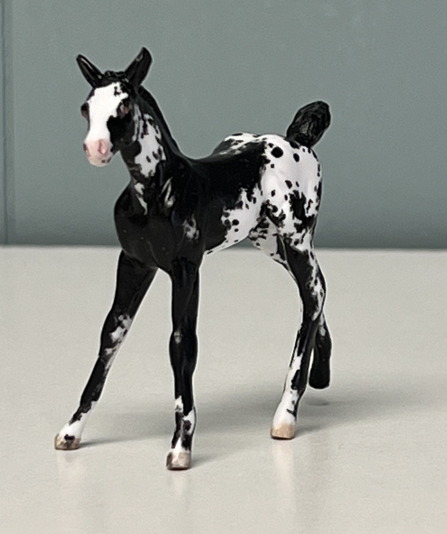 Nuveo OOAK Custom Chip Foal By Andrea Thomason - SAMPLE &amp; OOAK SALE APRIL 2024 SS424