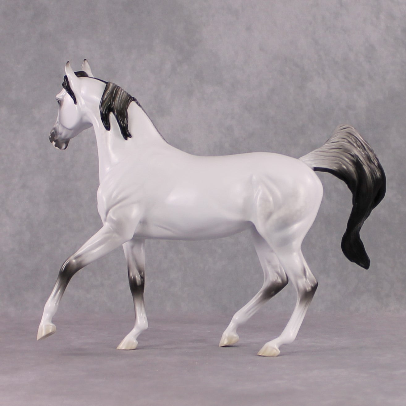 SAMPLE "Snow White" FCM Arab Mare By Jess Hamill