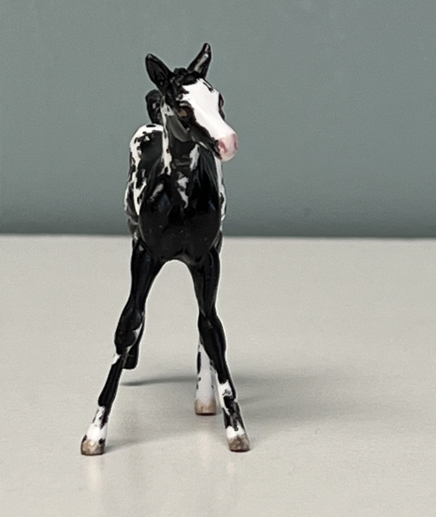 Nuveo OOAK Custom Chip Foal By Andrea Thomason - SAMPLE &amp; OOAK SALE APRIL 2024 SS424