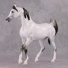 Snow White LE-11 Dappled Grey Arab Mare By Jess Hamill Fairy Tale Series - Pre Order - FTL24