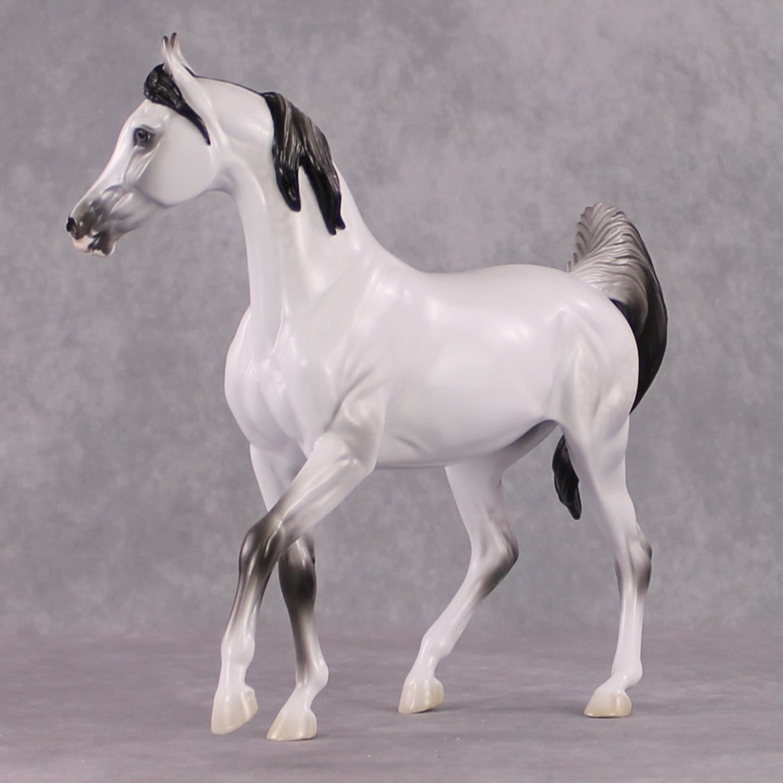 SAMPLE "Snow White" FCM Arab Mare By Jess Hamill