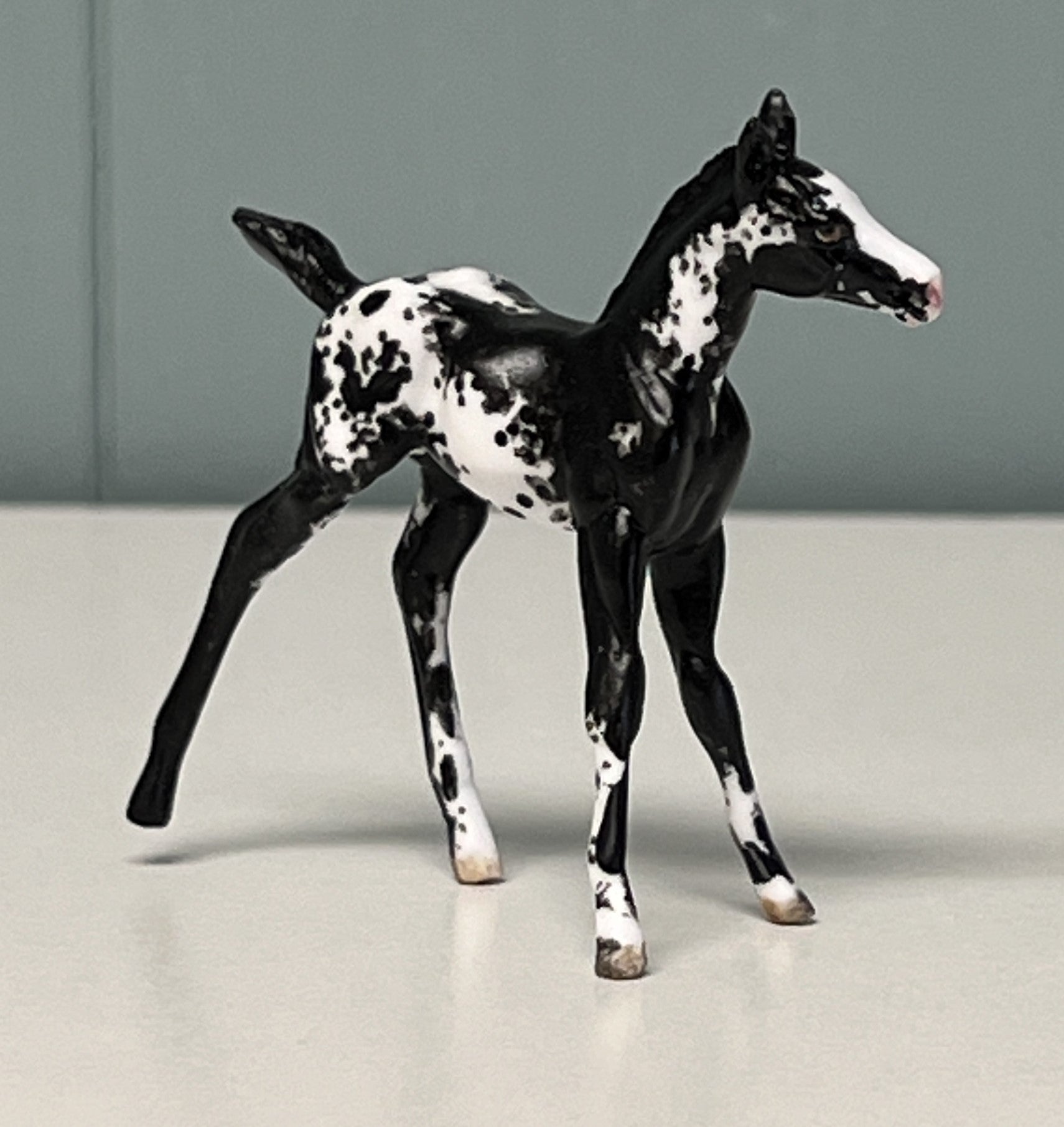 Nuveo OOAK Custom Chip Foal By Andrea Thomason - SAMPLE &amp; OOAK SALE APRIL 2024 SS424