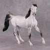 Snow White LE-11 Dappled Grey Arab Mare By Jess Hamill Fairy Tale Series - Pre Order - FTL24
