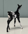 Nuveo OOAK Custom Chip Foal By Andrea Thomason - SAMPLE &amp; OOAK SALE APRIL 2024 SS424