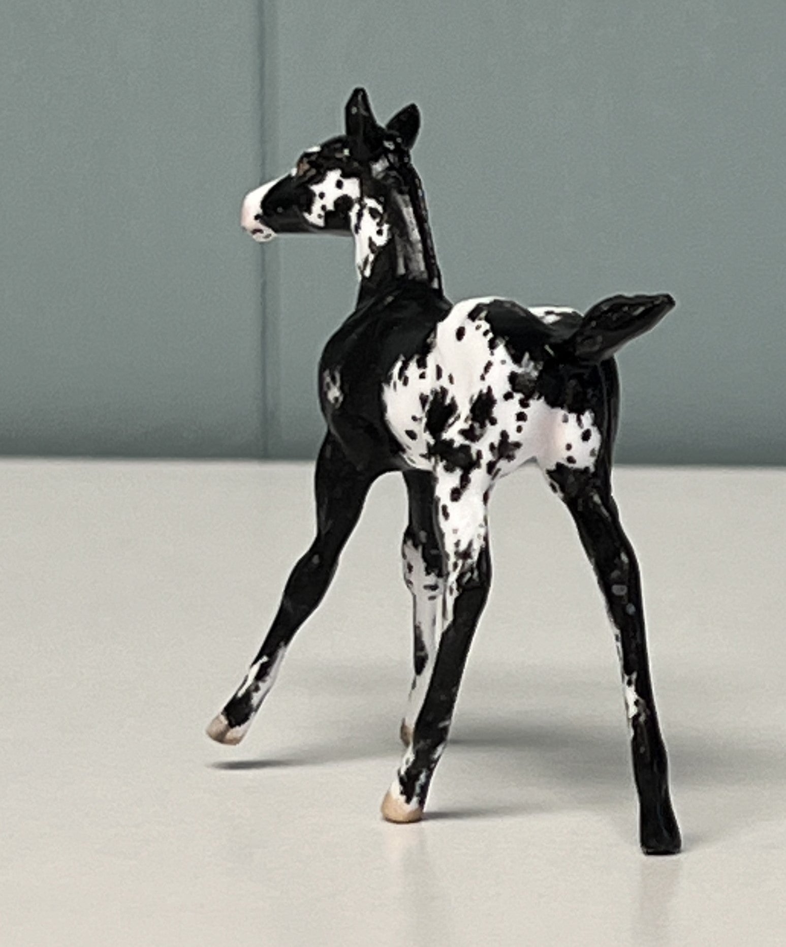 Nuveo OOAK Custom Chip Foal By Andrea Thomason - SAMPLE &amp; OOAK SALE APRIL 2024 SS424