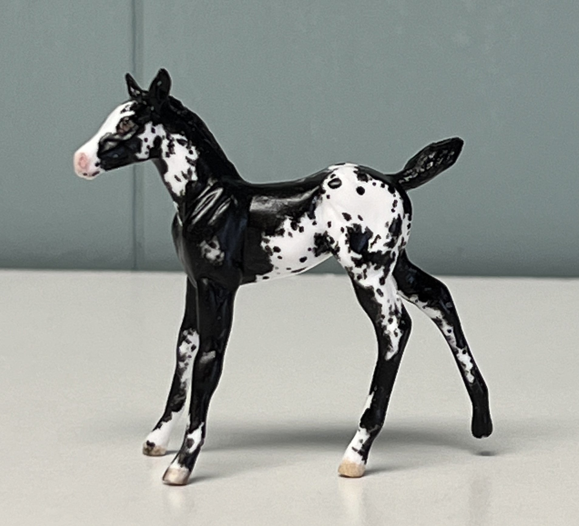 Nuveo OOAK Custom Chip Foal By Andrea Thomason - SAMPLE &amp; OOAK SALE APRIL 2024 SS424