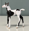 Uusi OOAK Custom Chip Foal By Andrea Thomason - SAMPLE &amp; OOAK SALE APRIL 2024 SS424