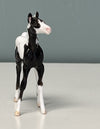 Uusi OOAK Custom Chip Foal By Andrea Thomason - SAMPLE &amp; OOAK SALE APRIL 2024 SS424