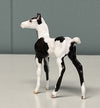 Uusi OOAK Custom Chip Foal By Andrea Thomason - SAMPLE &amp; OOAK SALE APRIL 2024 SS424