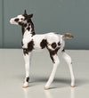 Neu OOAK Custom Chip Foal By Andrea Thomason - SAMPLE &amp; OOAK SALE APRIL 2024 SS424