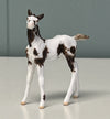 Neu OOAK Custom Chip Foal By Andrea Thomason - SAMPLE &amp; OOAK SALE APRIL 2024 SS424