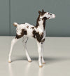Neu OOAK Custom Chip Foal By Andrea Thomason - SAMPLE &amp; OOAK SALE APRIL 2024 SS424