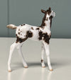 Neu OOAK Custom Chip Foal By Andrea Thomason - SAMPLE &amp; OOAK SALE APRIL 2024 SS424