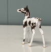 Neu OOAK Custom Chip Foal By Andrea Thomason - SAMPLE &amp; OOAK SALE APRIL 2024 SS424