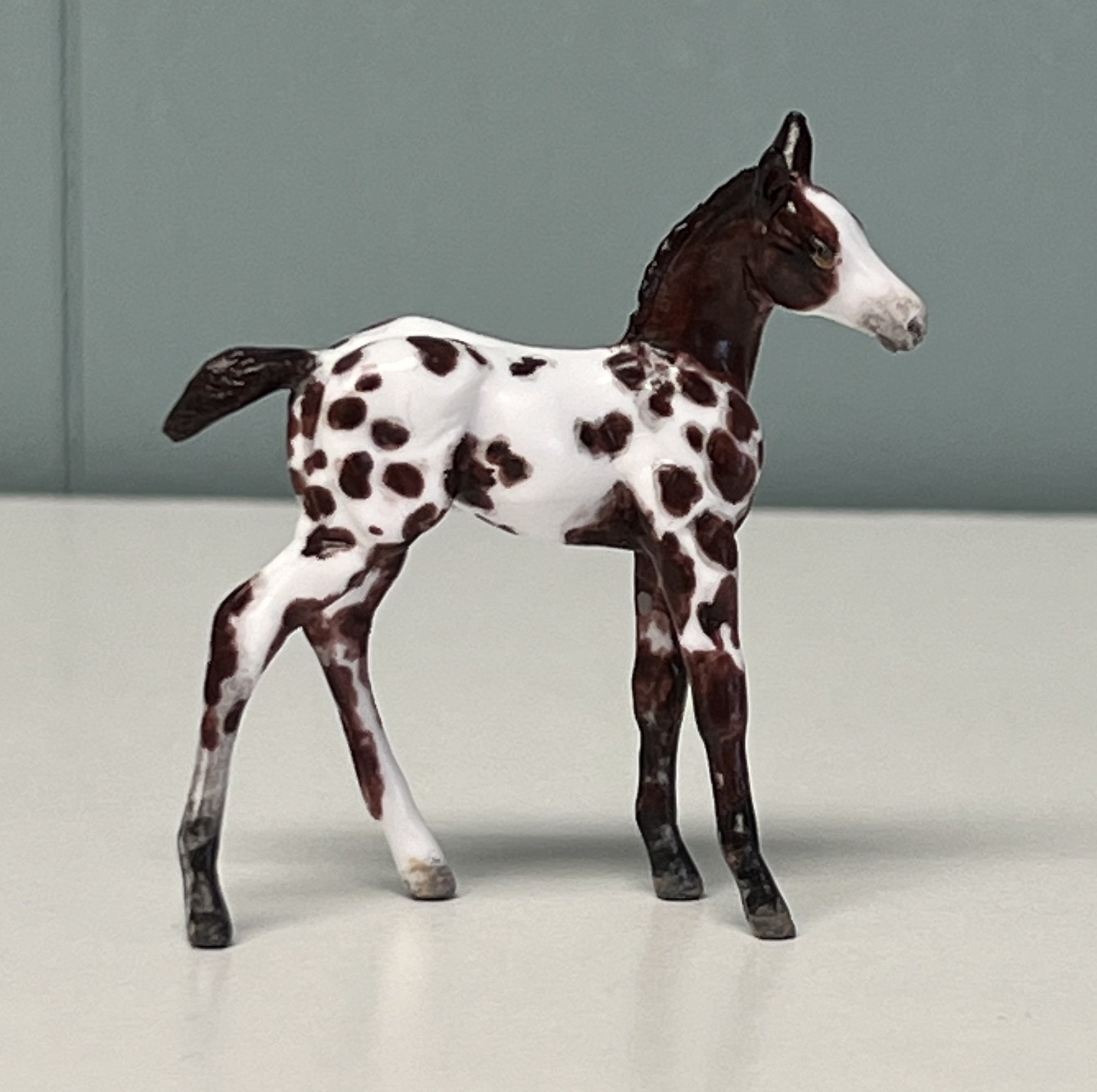 Novo OOAK Custom Chip Foal By Andrea Thomason - SAMPLE & OOAK SALE APRIL 2024 SS424