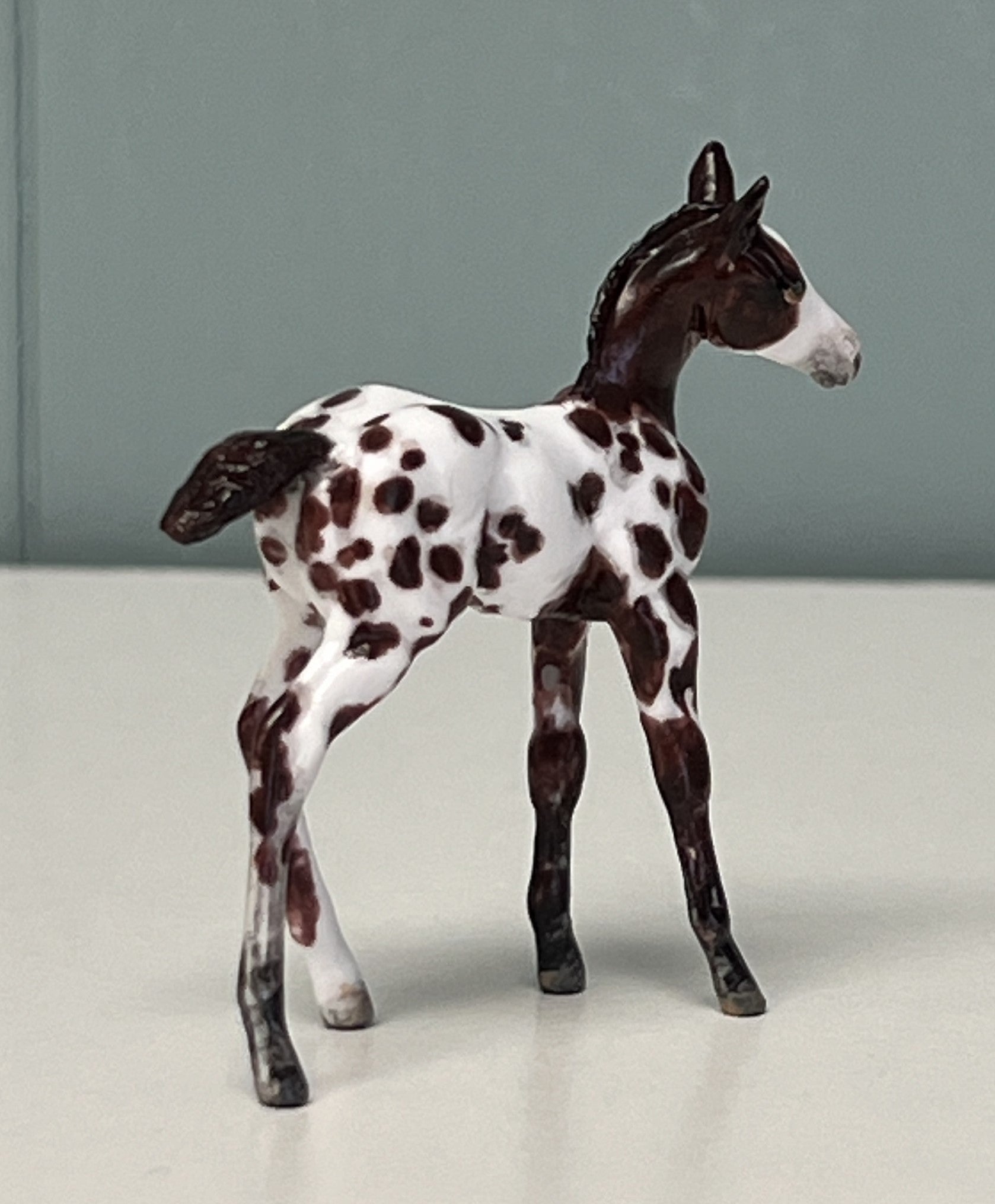 Novo OOAK Custom Chip Foal By Andrea Thomason - SAMPLE &amp; OOAK SALE APRIL 2024 SS424