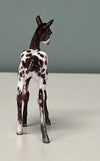 Novo OOAK Custom Chip Foal By Andrea Thomason - SAMPLE &amp; OOAK SALE APRIL 2024 SS424