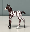 Novo OOAK Custom Chip Foal By Andrea Thomason - SAMPLE &amp; OOAK SALE APRIL 2024 SS424