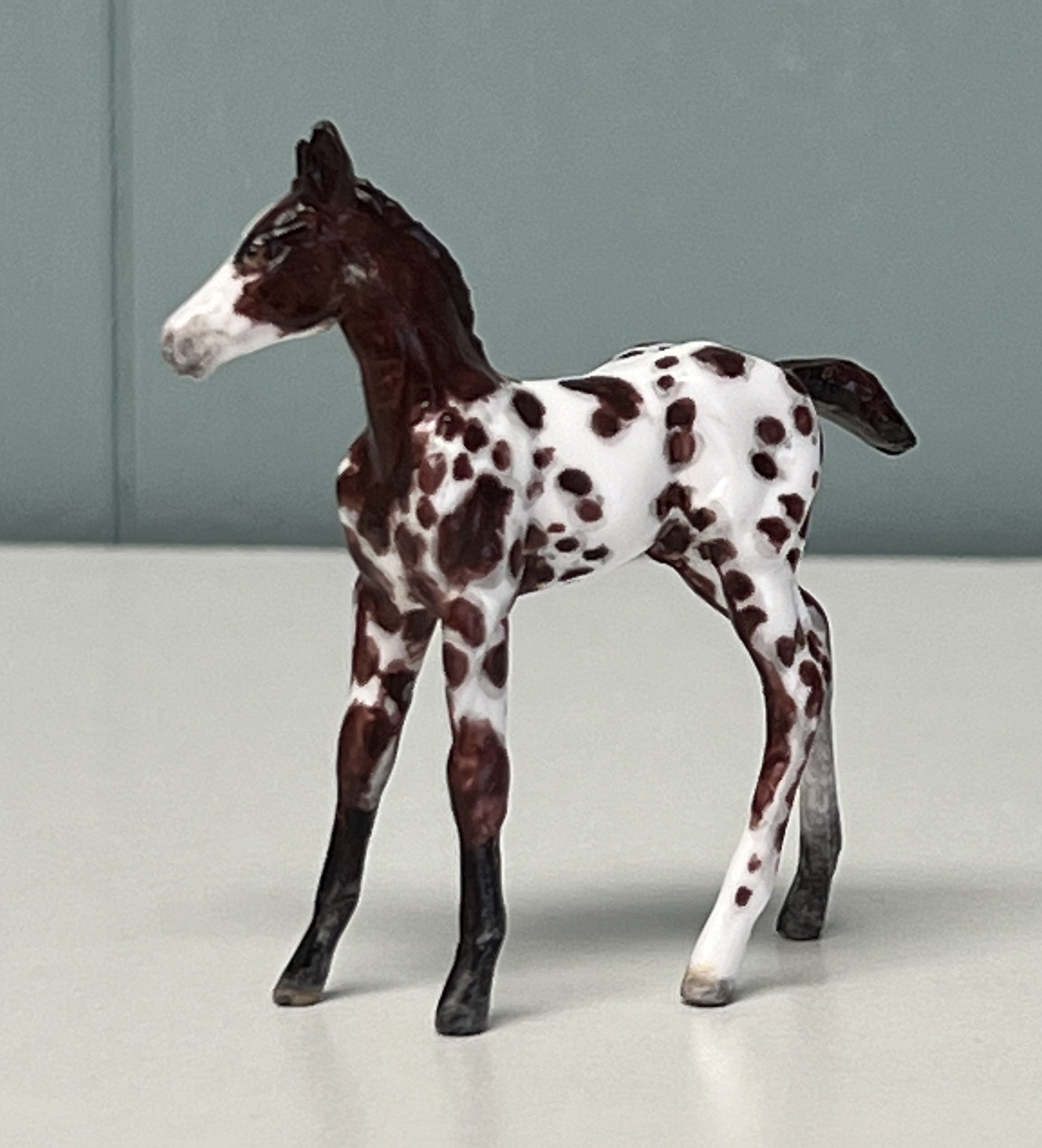 Novo OOAK Custom Chip Foal By Andrea Thomason - SAMPLE &amp; OOAK SALE APRIL 2024 SS424