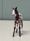 Novo OOAK Custom Chip Foal By Andrea Thomason - SAMPLE &amp; OOAK SALE APRIL 2024 SS424