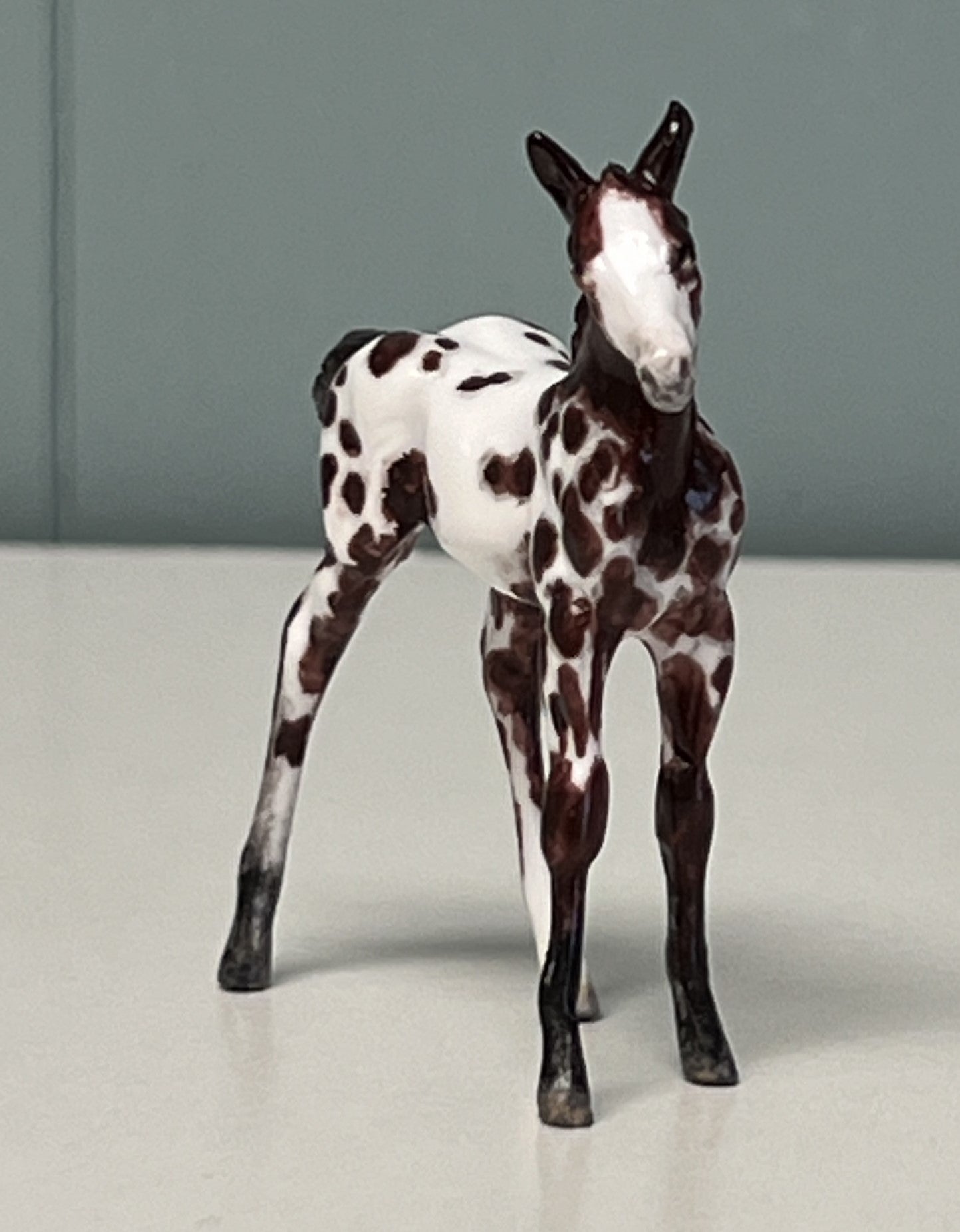 Novo OOAK Custom Chip Foal By Andrea Thomason - SAMPLE &amp; OOAK SALE APRIL 2024 SS424