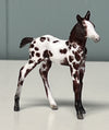 Novo OOAK Custom Chip Foal By Andrea Thomason - SAMPLE &amp; OOAK SALE APRIL 2024 SS424