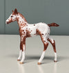 Nua OOAK Custom Chip Foal By Andrea Thomason - SAMPLE &amp; OOAK SALE APRIL 2024 SS424