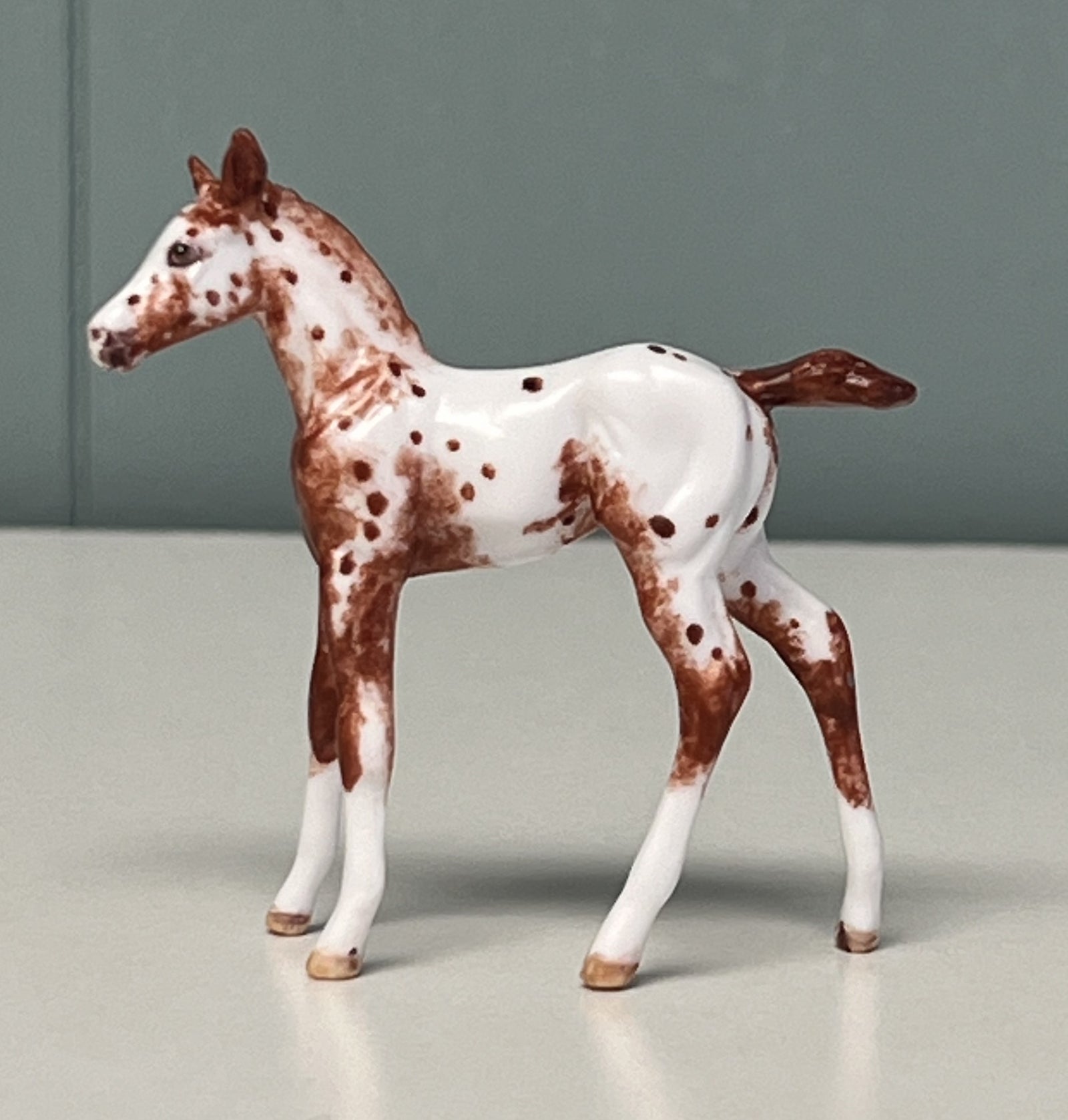 Nua OOAK Custom Chip Foal By Andrea Thomason - SAMPLE & OOAK SALE APRIL 2024 SS424