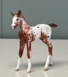 Nua OOAK Custom Chip Foal By Andrea Thomason - SAMPLE &amp; OOAK SALE APRIL 2024 SS424