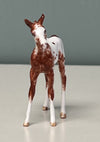 Nua OOAK Custom Chip Foal By Andrea Thomason - SAMPLE &amp; OOAK SALE APRIL 2024 SS424