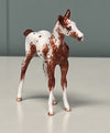 Nua OOAK Custom Chip Foal By Andrea Thomason - SAMPLE &amp; OOAK SALE APRIL 2024 SS424