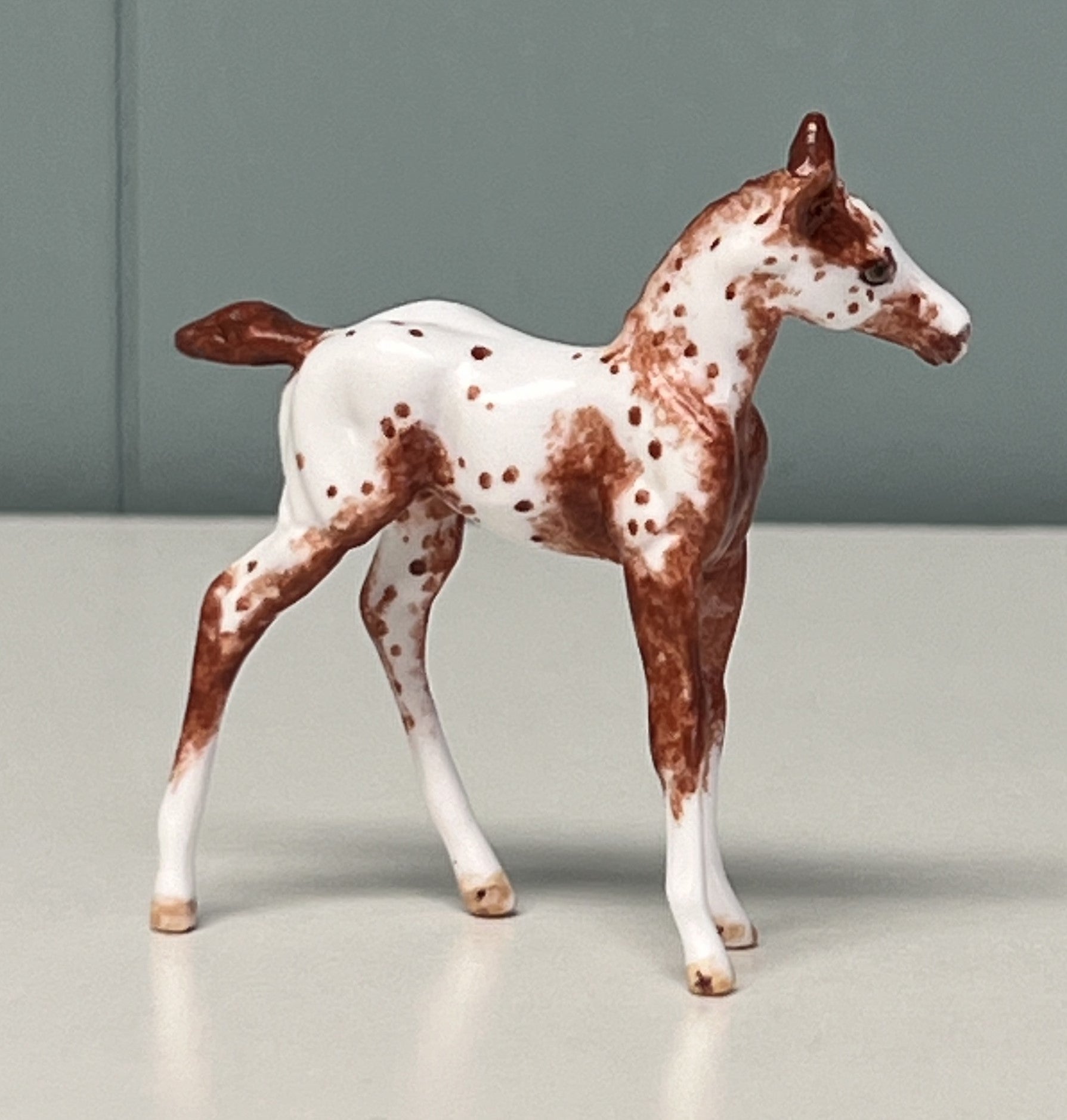 Nua OOAK Custom Chip Foal By Andrea Thomason - SAMPLE &amp; OOAK SALE APRIL 2024 SS424