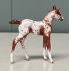 Nua OOAK Custom Chip Foal By Andrea Thomason - SAMPLE &amp; OOAK SALE APRIL 2024 SS424