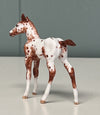 Nua OOAK Custom Chip Foal By Andrea Thomason - SAMPLE &amp; OOAK SALE APRIL 2024 SS424