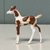 Nieuw OOAK Custom Chip Foal By Andrea Thomason - SAMPLE &amp; OOAK SALE APRIL 2024 SS424