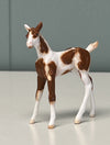 Nieuw OOAK Custom Chip Foal By Andrea Thomason - SAMPLE &amp; OOAK SALE APRIL 2024 SS424