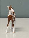 Nieuw OOAK Custom Chip Foal By Andrea Thomason - SAMPLE &amp; OOAK SALE APRIL 2024 SS424