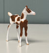 Nieuw OOAK Custom Chip Foal By Andrea Thomason - SAMPLE &amp; OOAK SALE APRIL 2024 SS424