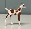 Nieuw OOAK Custom Chip Foal By Andrea Thomason - SAMPLE &amp; OOAK SALE APRIL 2024 SS424