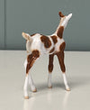 Nieuw OOAK Custom Chip Foal By Andrea Thomason - SAMPLE &amp; OOAK SALE APRIL 2024 SS424