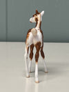 Nieuw OOAK Custom Chip Foal By Andrea Thomason - SAMPLE &amp; OOAK SALE APRIL 2024 SS424