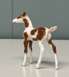 Nieuw OOAK Custom Chip Foal By Andrea Thomason - SAMPLE &amp; OOAK SALE APRIL 2024 SS424