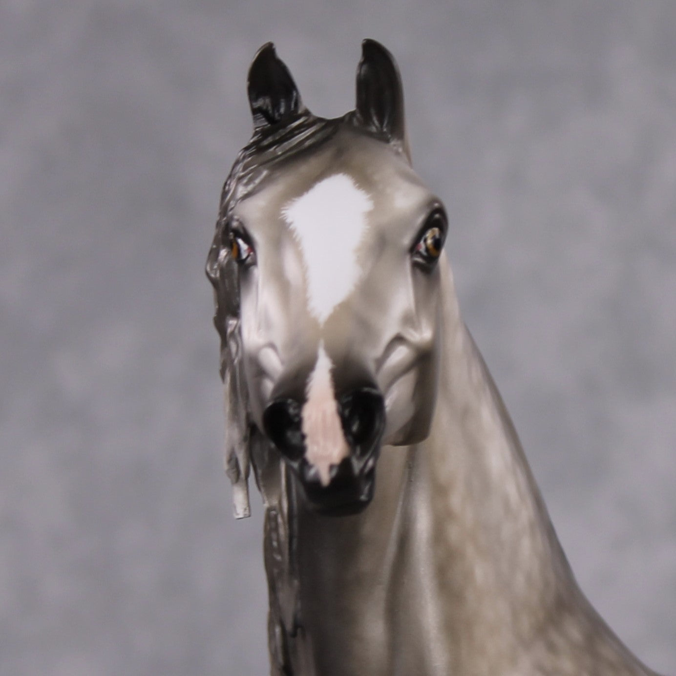 Stone Horses OOAK FCM "Resplendent" - Dapple Grey Morgan by Sheryl Leisure &amp; Mona Best Offer 2/04/2025