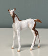 Nouveau OOAK Custom Chip Foal By Andrea Thomason - SAMPLE &amp; OOAK SALE APRIL 2024 SS424