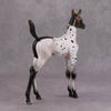 PREVIEW LISTING ONLY Sweet Little Doll OOAK Deco Patchwork Arab Foal By Ashley Palmer MM24 Online Drawing