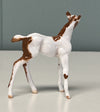 Nouveau OOAK Custom Chip Foal By Andrea Thomason - SAMPLE &amp; OOAK SALE APRIL 2024 SS424