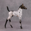 PREVIEW LISTING ONLY Sweet Little Doll OOAK Deco Patchwork Arab Foal By Ashley Palmer MM24 Online Drawing