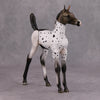 PREVIEW LISTING ONLY Sweet Little Doll OOAK Deco Patchwork Arab Foal By Ashley Palmer MM24 Online Drawing