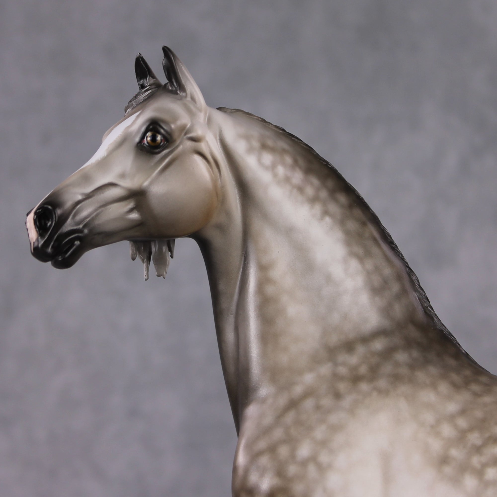 Stone Horses OOAK FCM "Resplendent" - Dapple Grey Morgan by Sheryl Leisure &amp; Mona Best Offer 2/04/2025