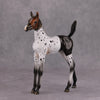 PREVIEW LISTING ONLY Sweet Little Doll OOAK Deco Patchwork Arab Foal By Ashley Palmer MM24 Online Drawing